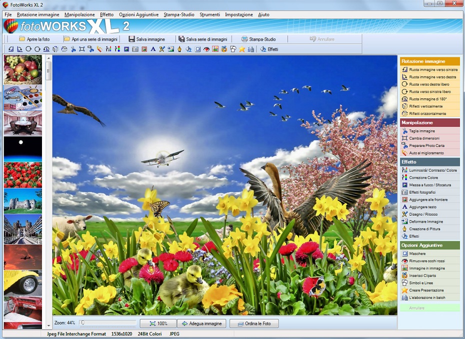 programmi di ritocco foto da
